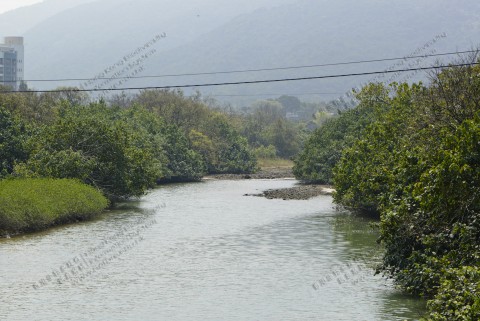 河口 Estuaries 