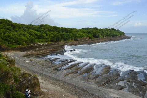 岩岸 Rocky shore