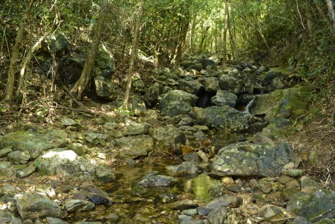 淡水河溪 Freshwater stream