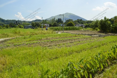 耕地 Farmland