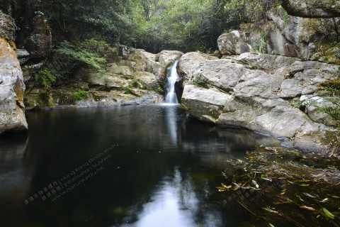 淡水河溪 Freshwater Stream