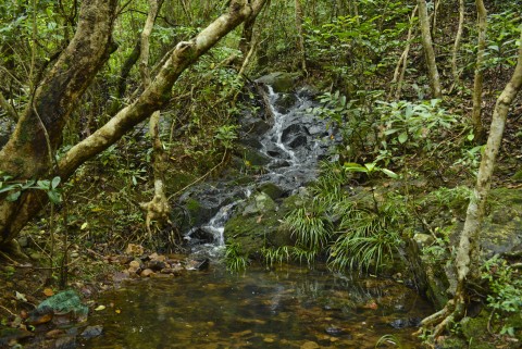 淡水河溪 Freshwater stream