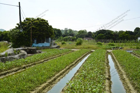 耕地 Farmland