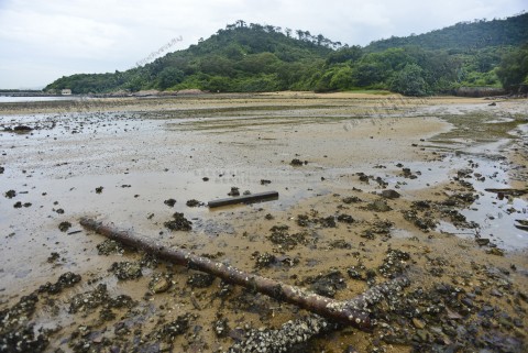 沙洲 Sandflat