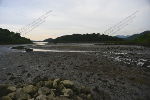 泥灘 Mudflat