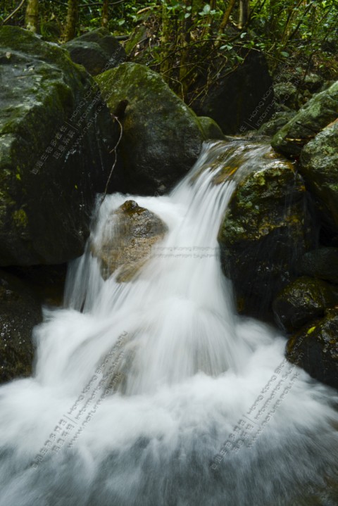 淡水河溪 Freshwater Stream