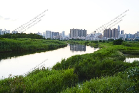 淡水河溪 Freshwater Stream