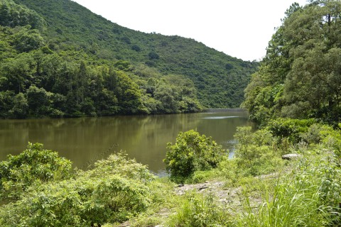 水塘 Reservoir