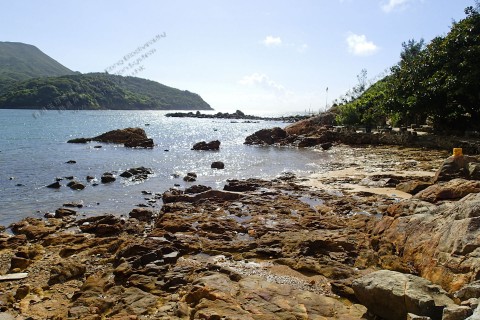 岩岸 Rocky shore