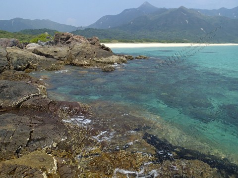 岩岸 Rocky shore