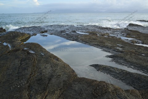 潮池 Tidal Pool