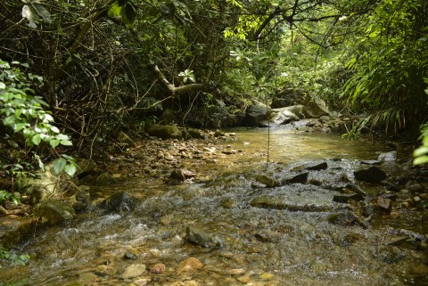 淡水河溪 Freshwater stream