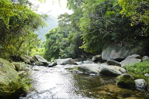 淡水溪流 Freshwater stream