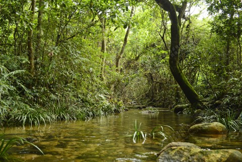 淡水河溪 Freshwater stream