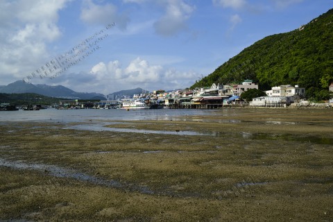 泥灘 Mudflat