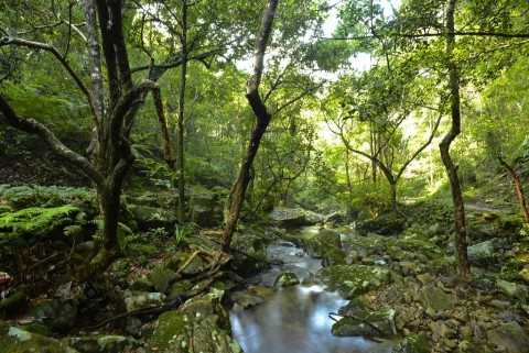 淡水河溪 Freshwater stream