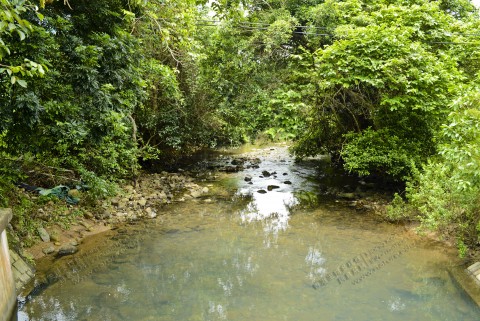 淡水河溪 Freshwater Stream