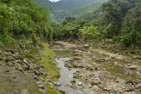 淡水河溪 Freshwater stream