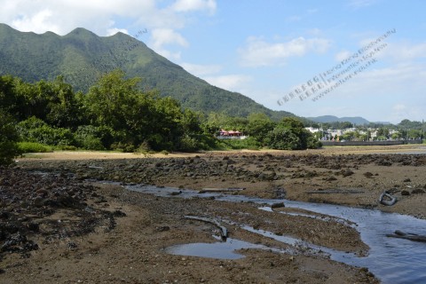 潮澗帶 Intertidal zone