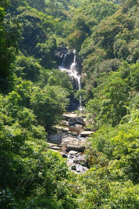瀑布 Waterfall