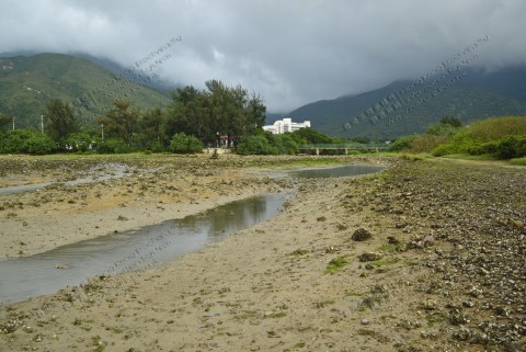 河口 Estuaries