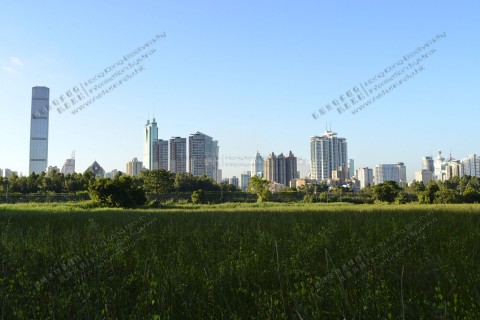 荒廢農田 Abandoned farmland