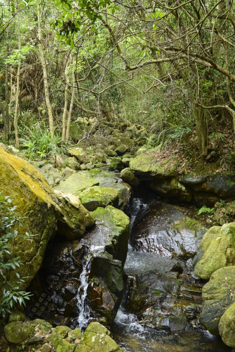 淡水河溪 Freshwater stream